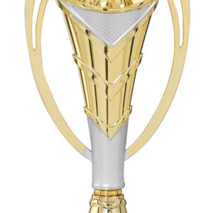 Gold / Silver Cup on Marble Base