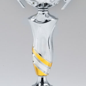 Silver Cup with Gold Ribbon on Marble Base
