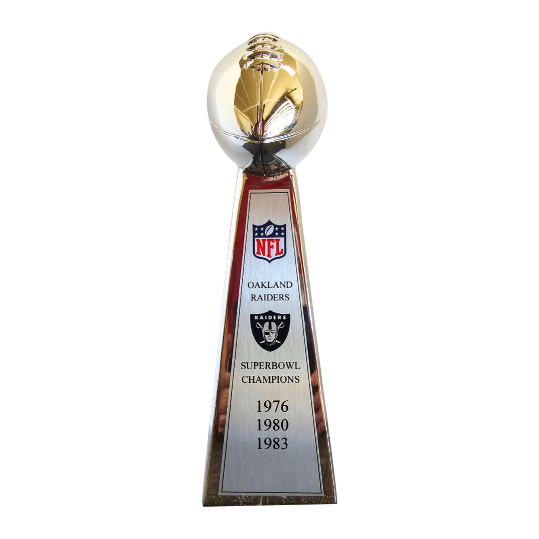 NFL Football Championship Replica Resin - Chrome finish - California Trophy  & Awards