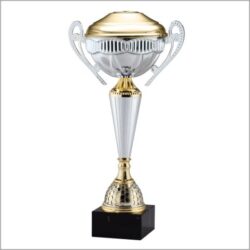 Gold / Silver Cup on Marble Base