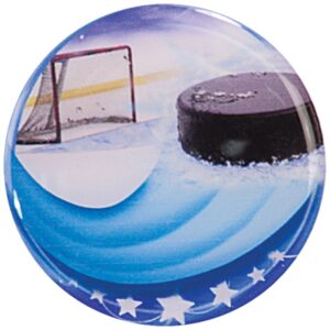 Hockey Epoxy Dome Mylar Insert