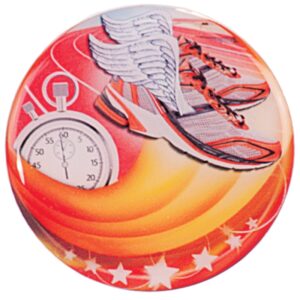 Track Epoxy Dome Mylar Insert