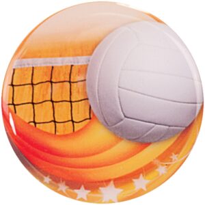 Volleyball Epoxy Dome Mylar Insert