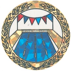 Sparkling Hologram Swimming Mylar Insert