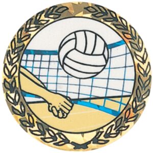 Sparkling Hologram Volleyball Mylar Insert