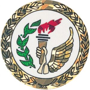 Sparkling Hologram Torch Mylar Insert