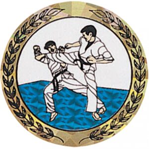 Sparkling Hologram Karate Mylar Insert