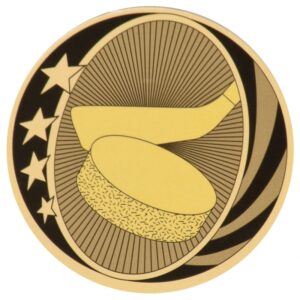 MidNite Star Hockey Mylar Insert