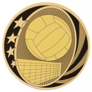 MidNite Star Volleyball Mylar Insert