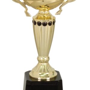 Completed Metal Cup with black adornement