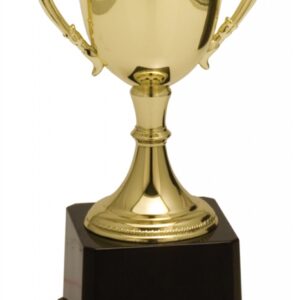 Completed Zinc Cup Trophy on Weighted Plastic Base