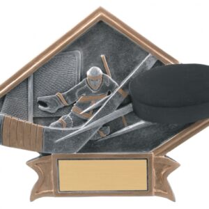 Hockey Diamond Resin Plate