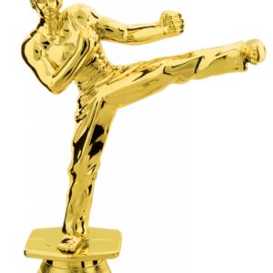 Male Karate Figure-alt