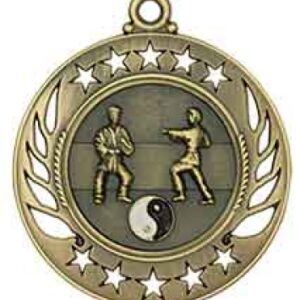 Martial Arts Galaxy Medal
