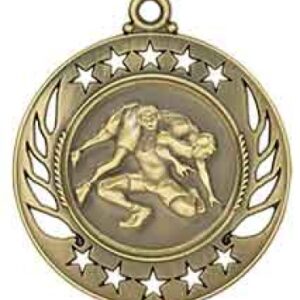 Wrestling Galaxy Medal