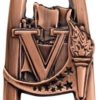 Knowledge Star Blast Medal - Image 4