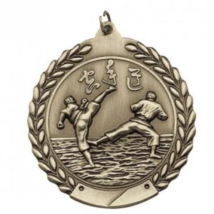 Karate Die Cast Medal