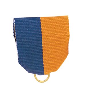 Purple/Gold Pin Ribbon Drape