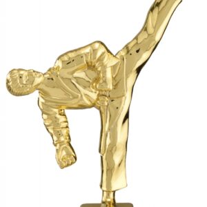 Gold Male Tae Kwon Do Figure