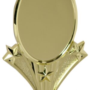 Gold Vertical 2 x 3 Oval Insert Holder Figure