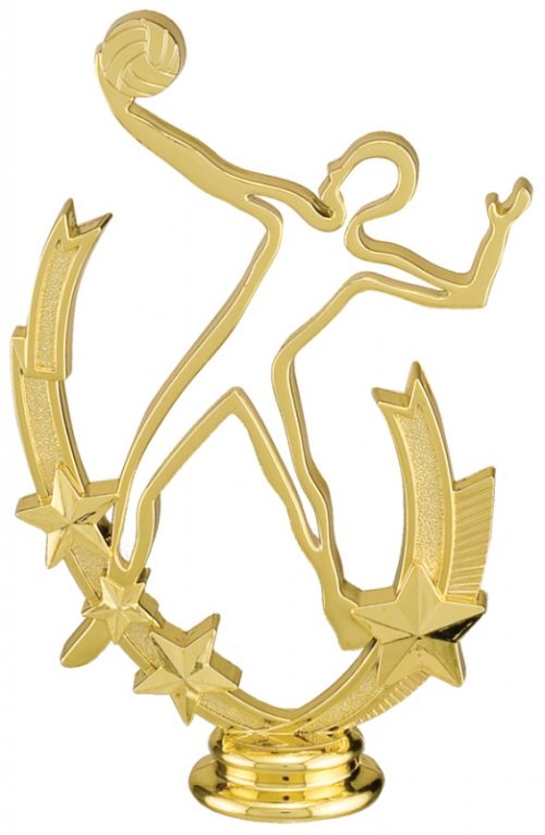 Volleyball Profile Figure