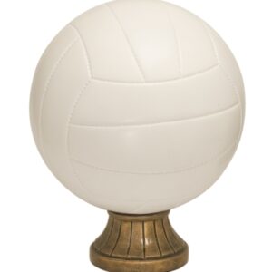 Color Volleyball Resin