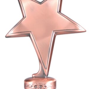 Bronze Shining Star Metal Figure