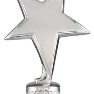 Silver Metal Shining Star Figure