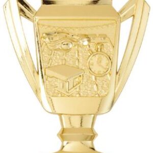 Swimming Trophy Shaped Medal