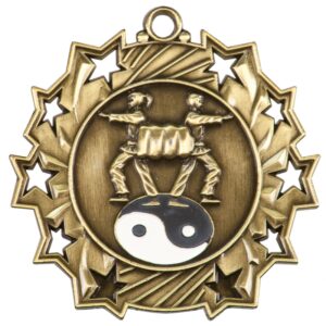 Martial Arts Ten Star Medal