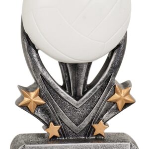 Volleyball Varsity Sport Resin